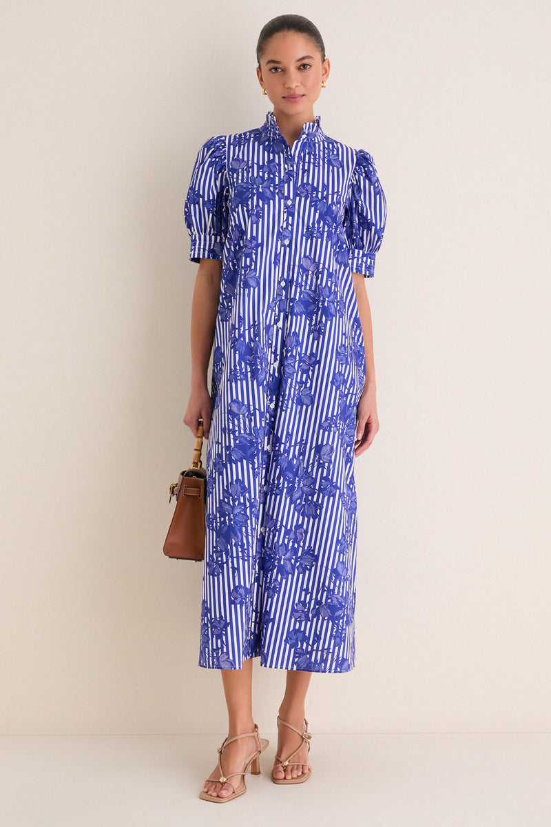Blue & White Striped Floral Louisa Maxi Dress