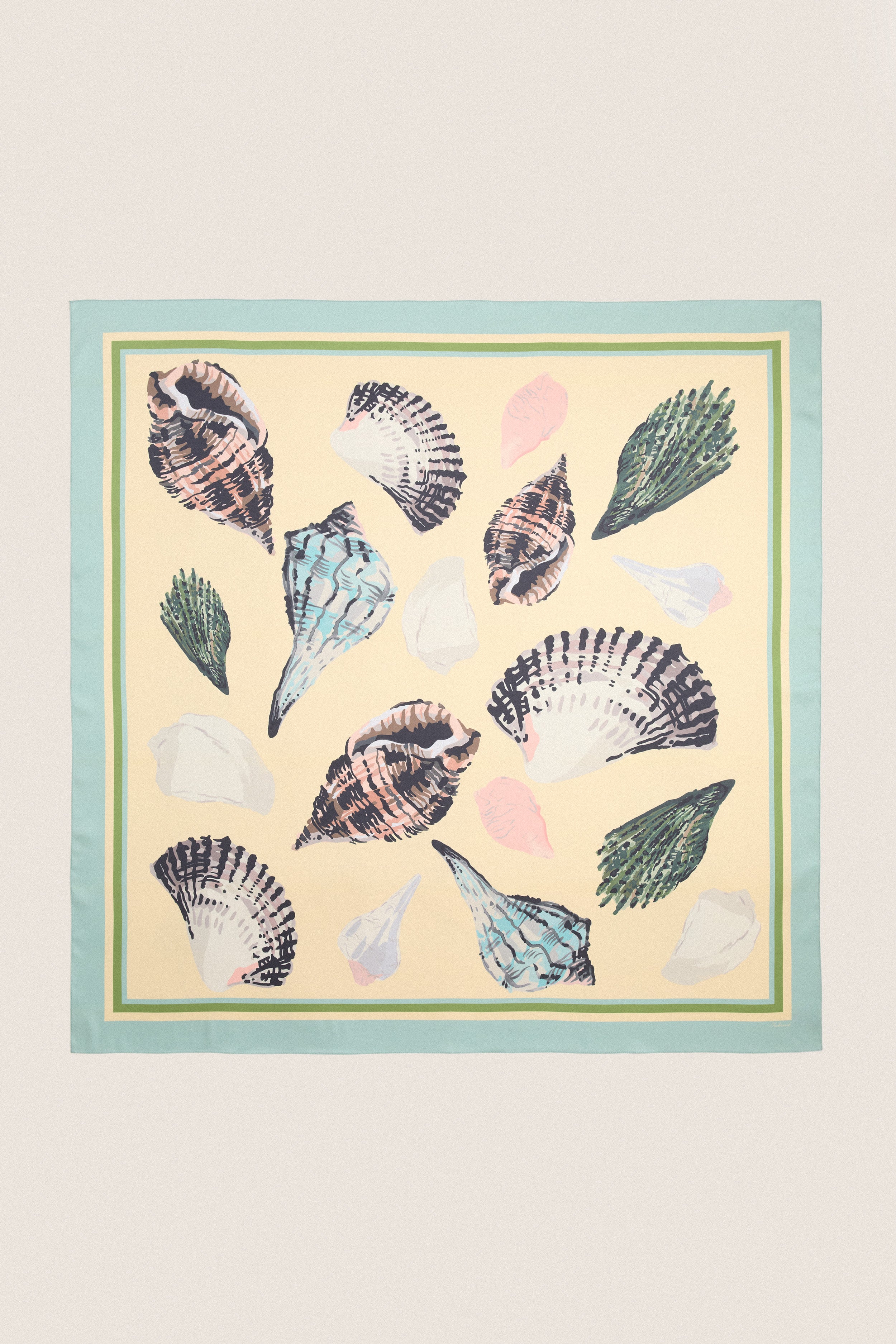 Painted Shells Large Scarf