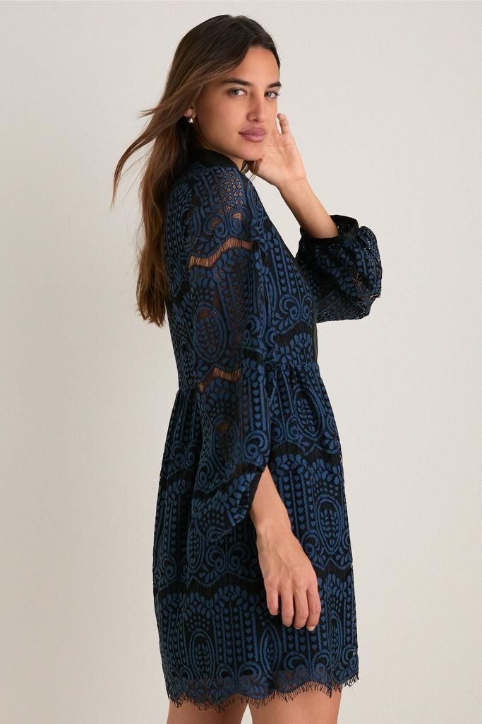 Navy Lace Calliope Mini Dress