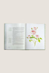 The Secret Garden Art Novel