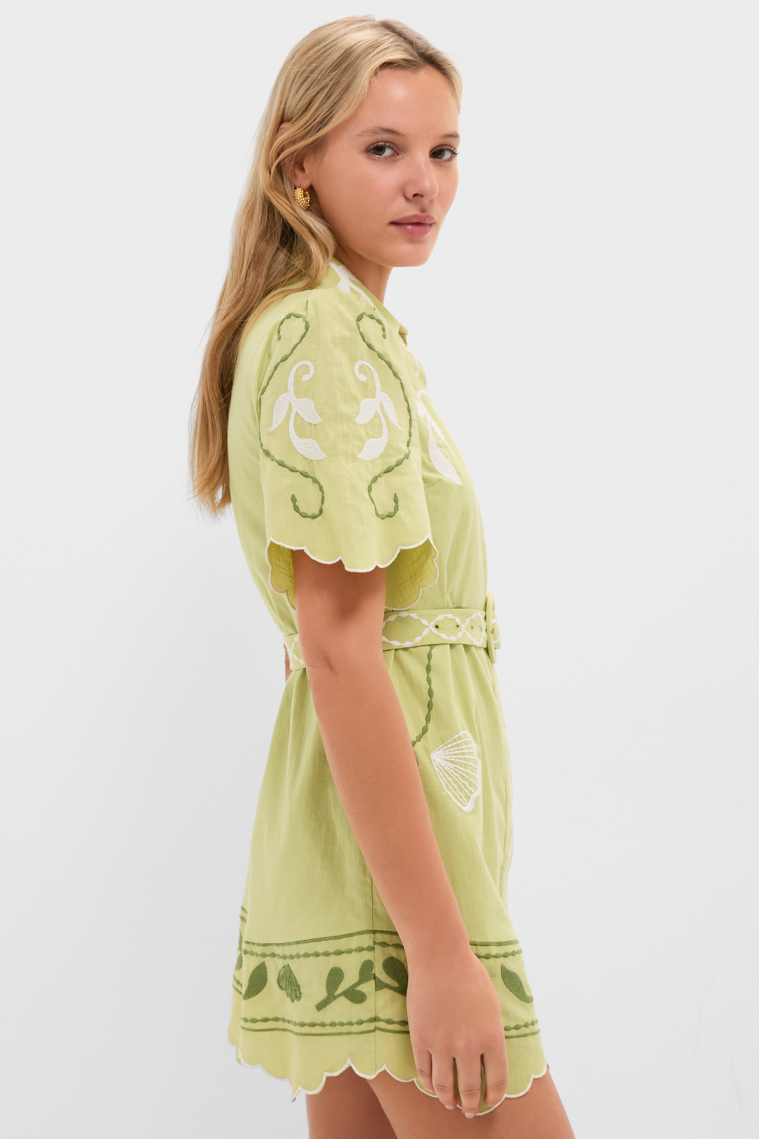 Pastel Mint Poppy Mini Dress | Anna Cate