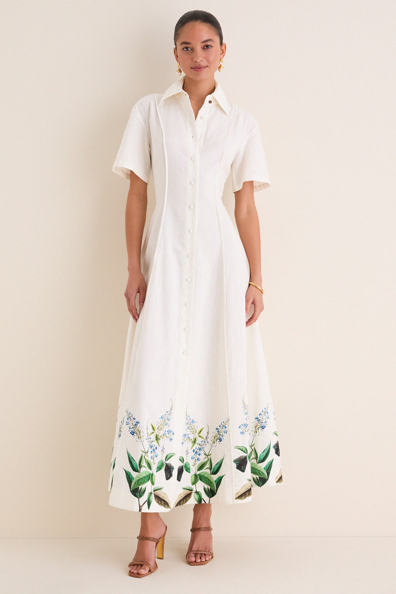 Laurel Bloom Myra Shirt Midi Dress