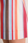 Vibrant Stripe Mini Skirt