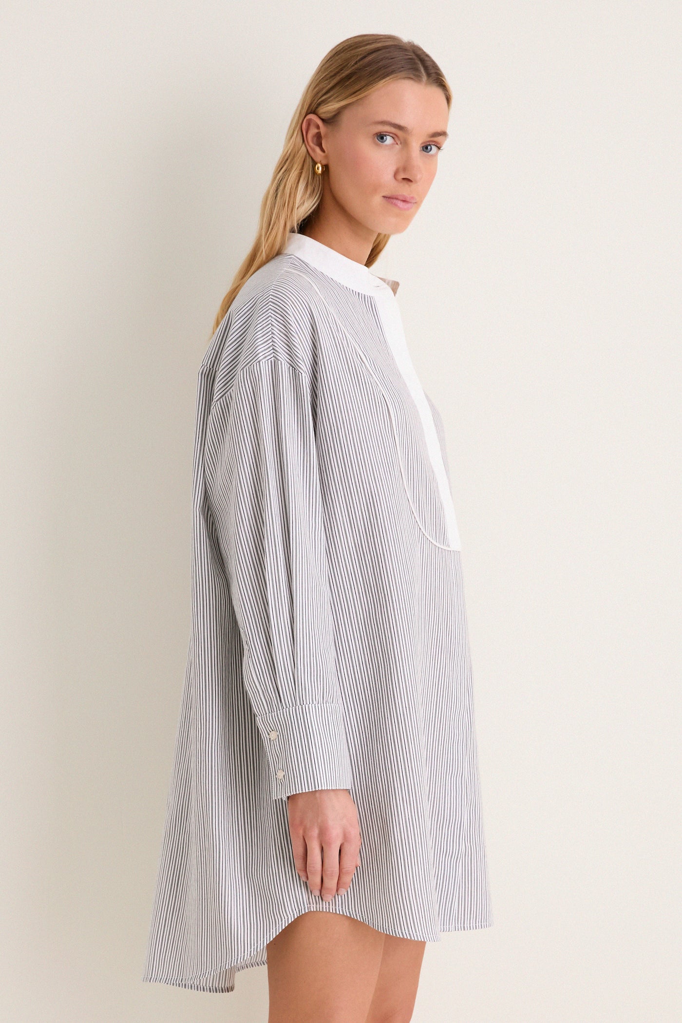 Evergreen Stripe Bib Arlington Shirt Dress
