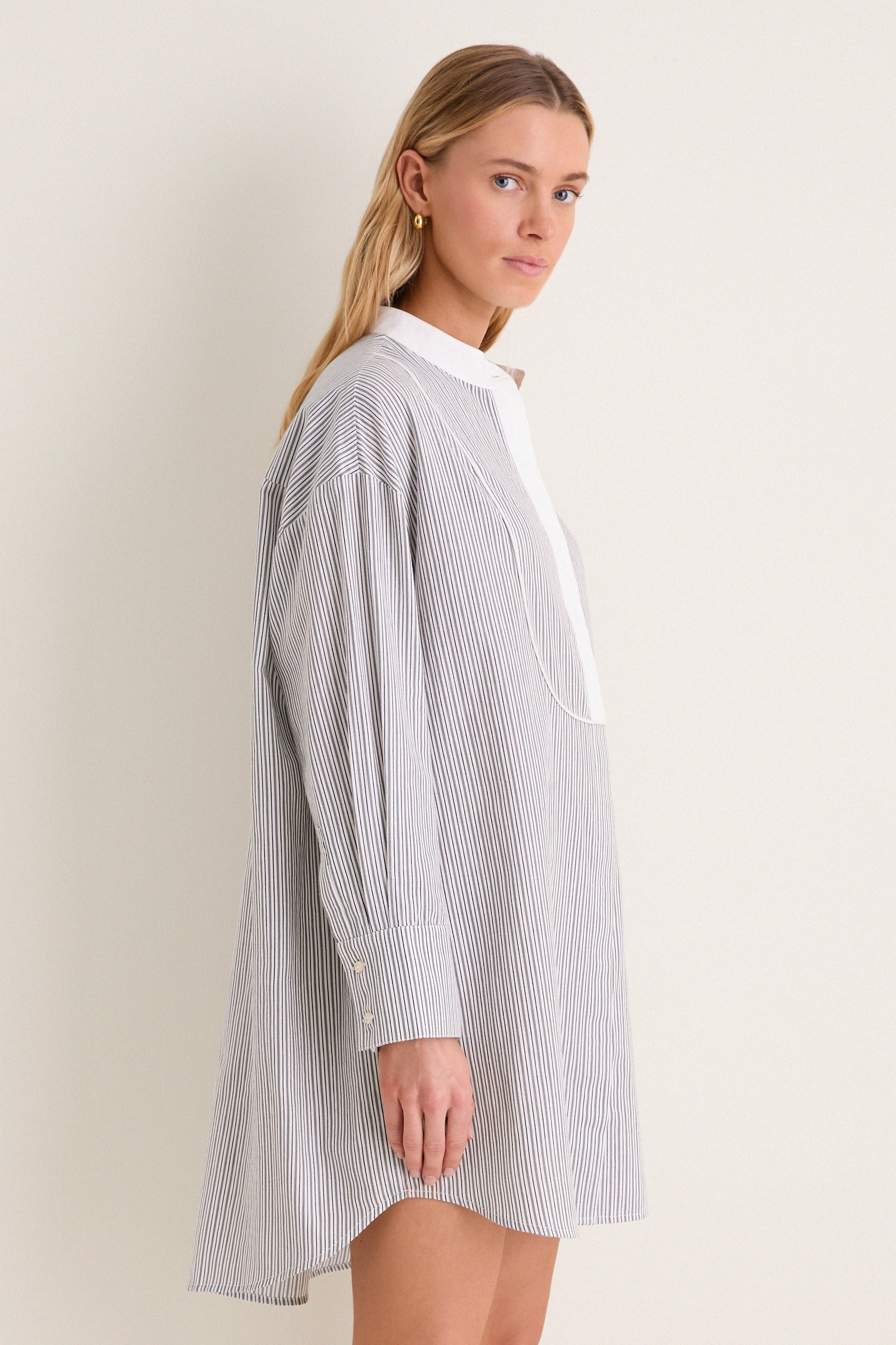 Evergreen Stripe Bib Arlington Shirt Dress