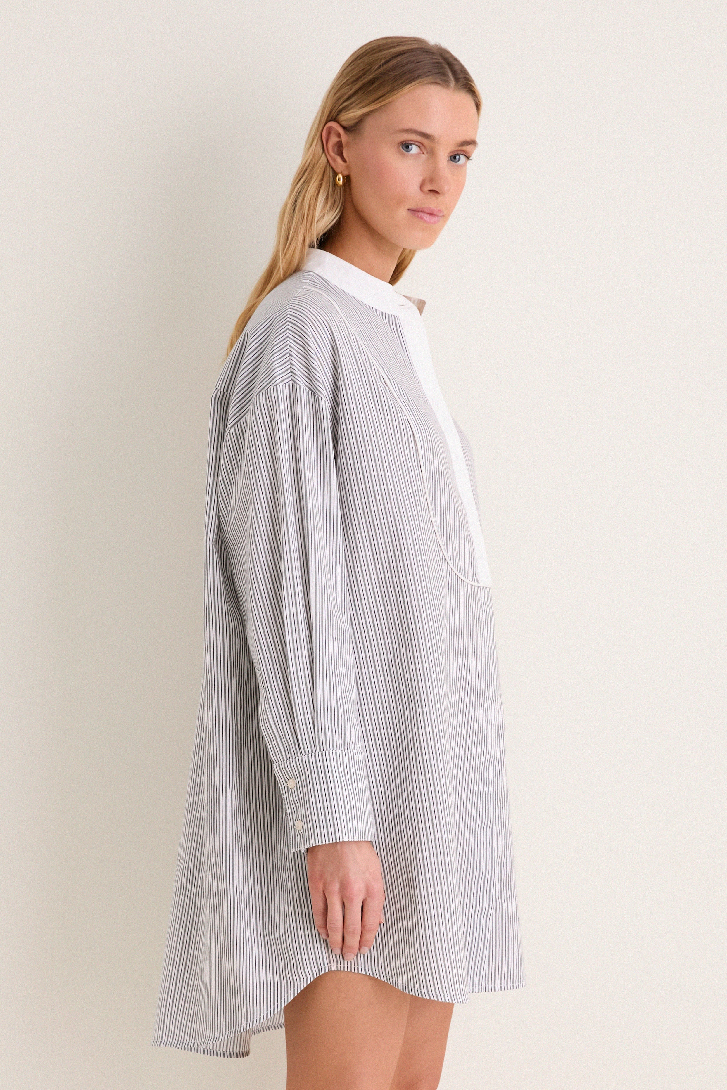 Evergreen Stripe Bib Arlington Shirt Dress
