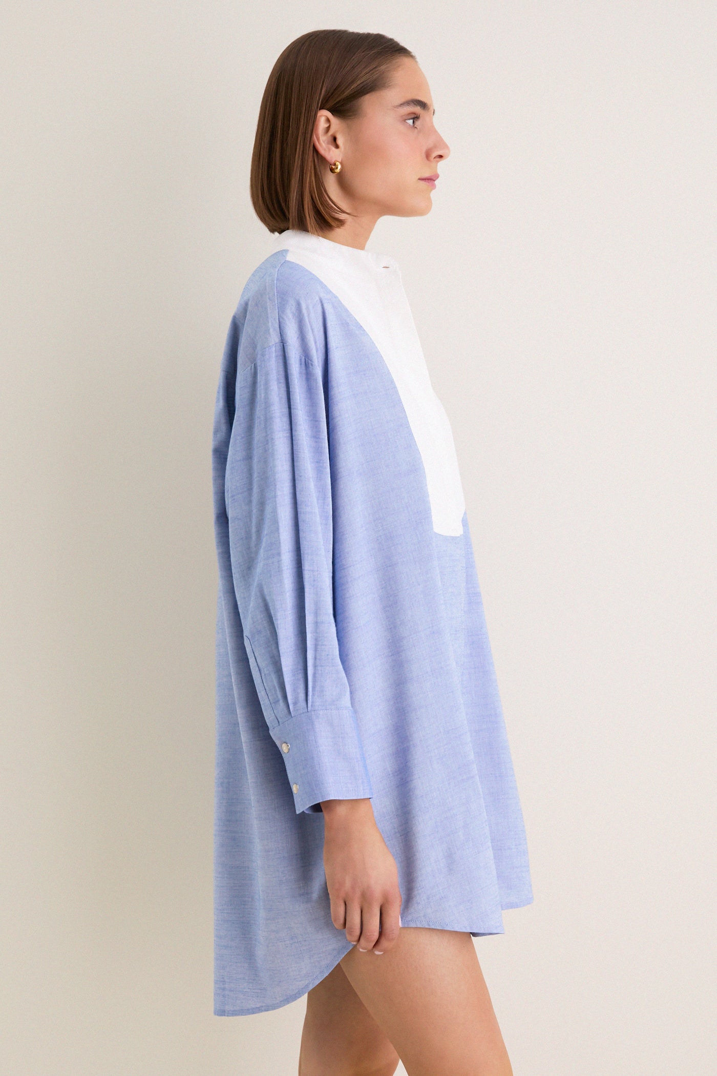 Chambray Arlington Shirt Dress