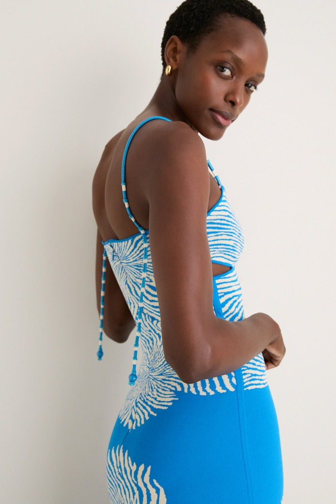 Blue Bloom Rayana Maxi Dress | ALEXIS
