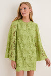 Olive Lace Livvy Mini Dress