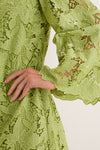 Olive Lace Livvy Mini Dress