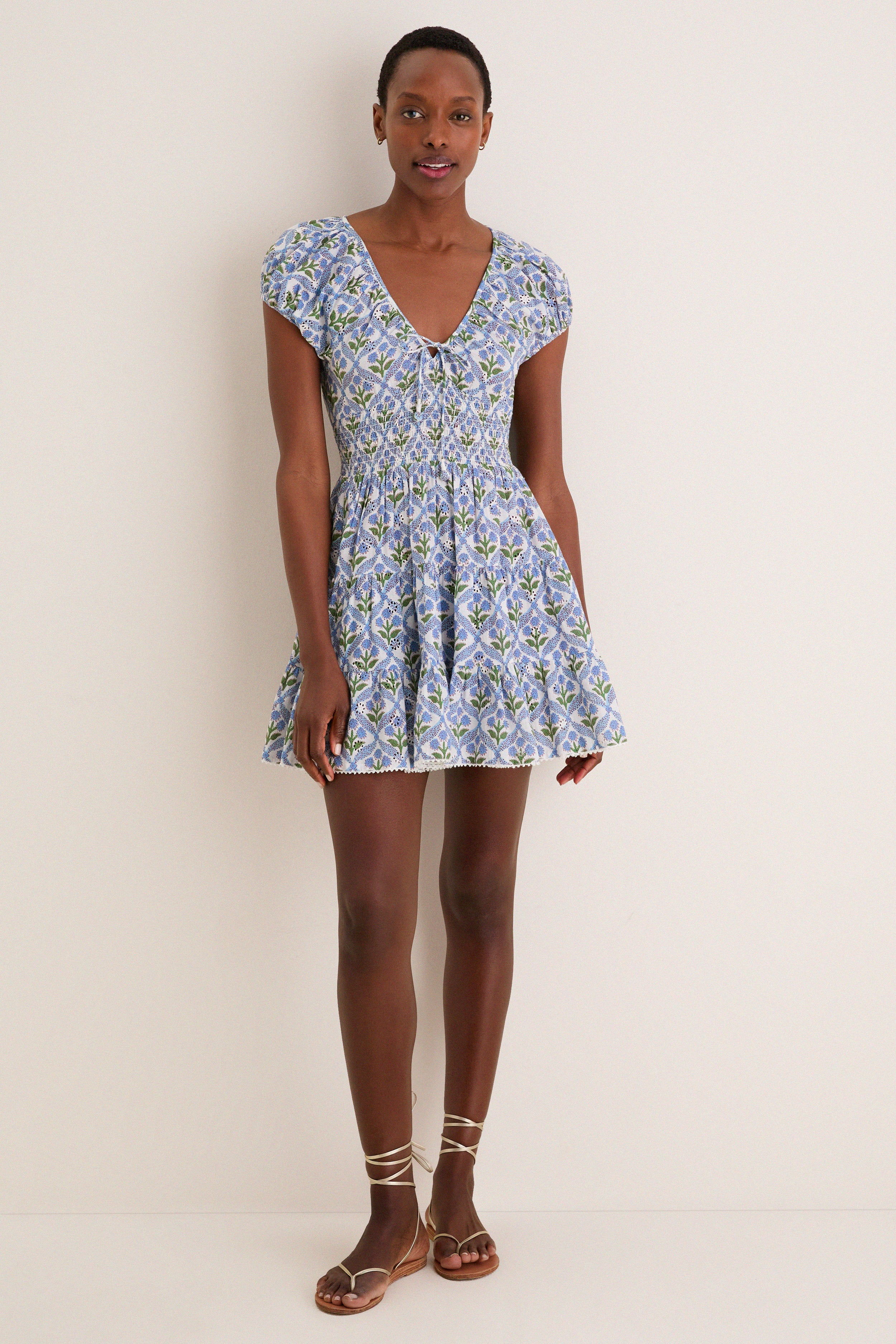 Cornflower Asterid Mini Dress | Saylor | Tuckernuck