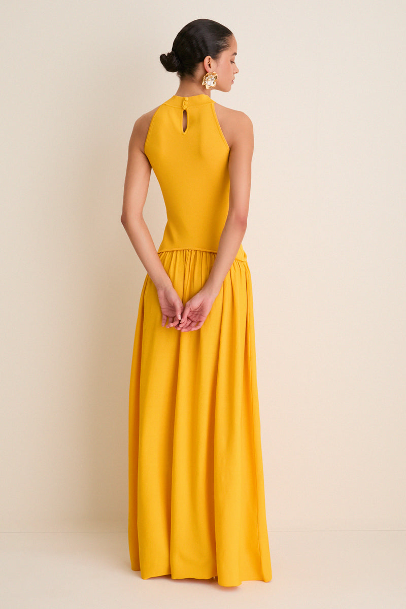 Pineapple Isola Maxi Dress
