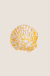 Yellow with White Concha Mini (Set of 2)