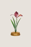 Pink Meadow Walk Iris Place Card Holder