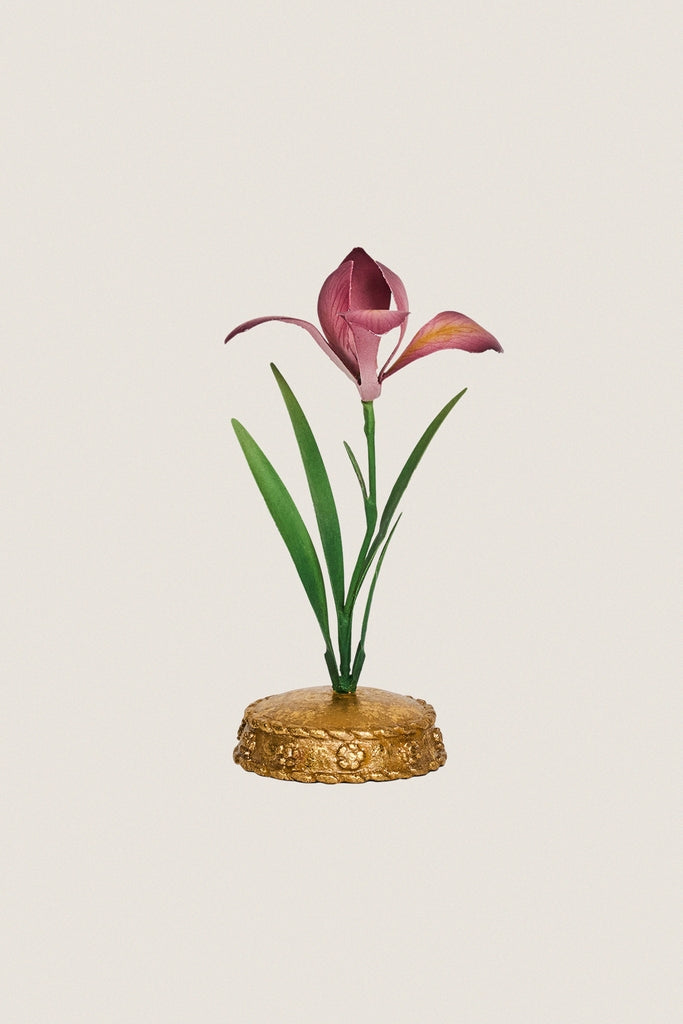Pink Meadow Walk Iris Place Card Holder