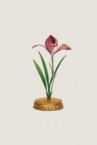Pink Meadow Walk Iris Place Card Holder