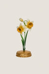 Yellow Meadow Walk Daffodil Place Card Holder