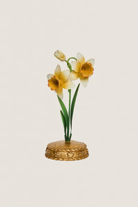 Yellow Meadow Walk Daffodil Place Card Holder