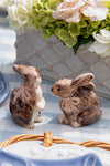 Bunny Salt and Pepper Set