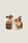 Bunny Salt and Pepper Set