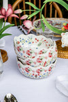 Sofia Ice Cream Bowl