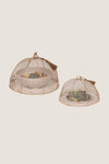 Tuileries Garden Mesh Round Food Cover Set