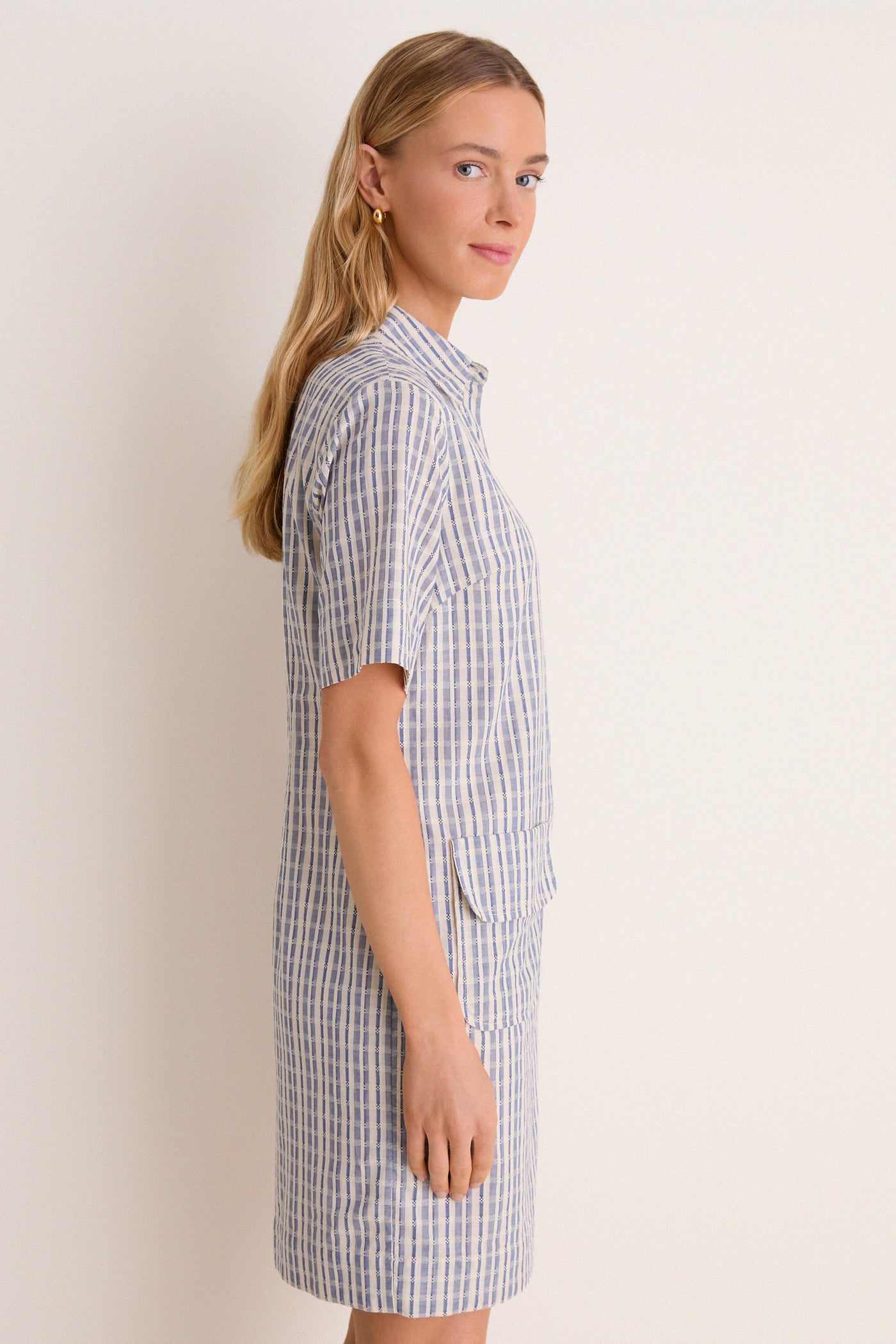 Dobby Stripe Joanna Dress