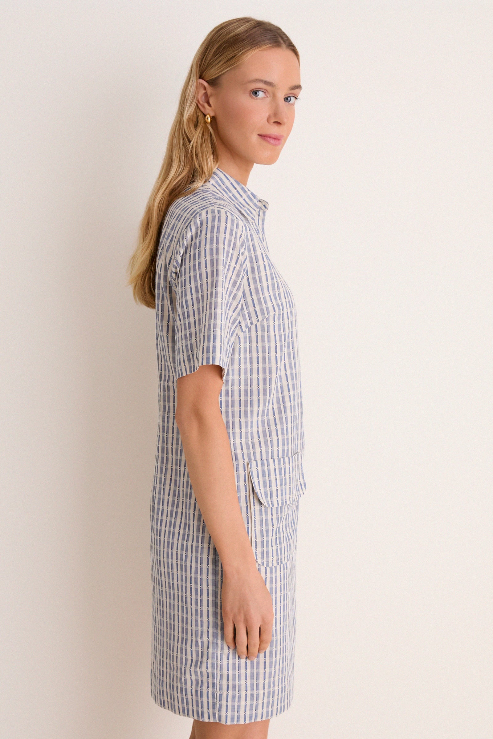Dobby Stripe Joanna Dress