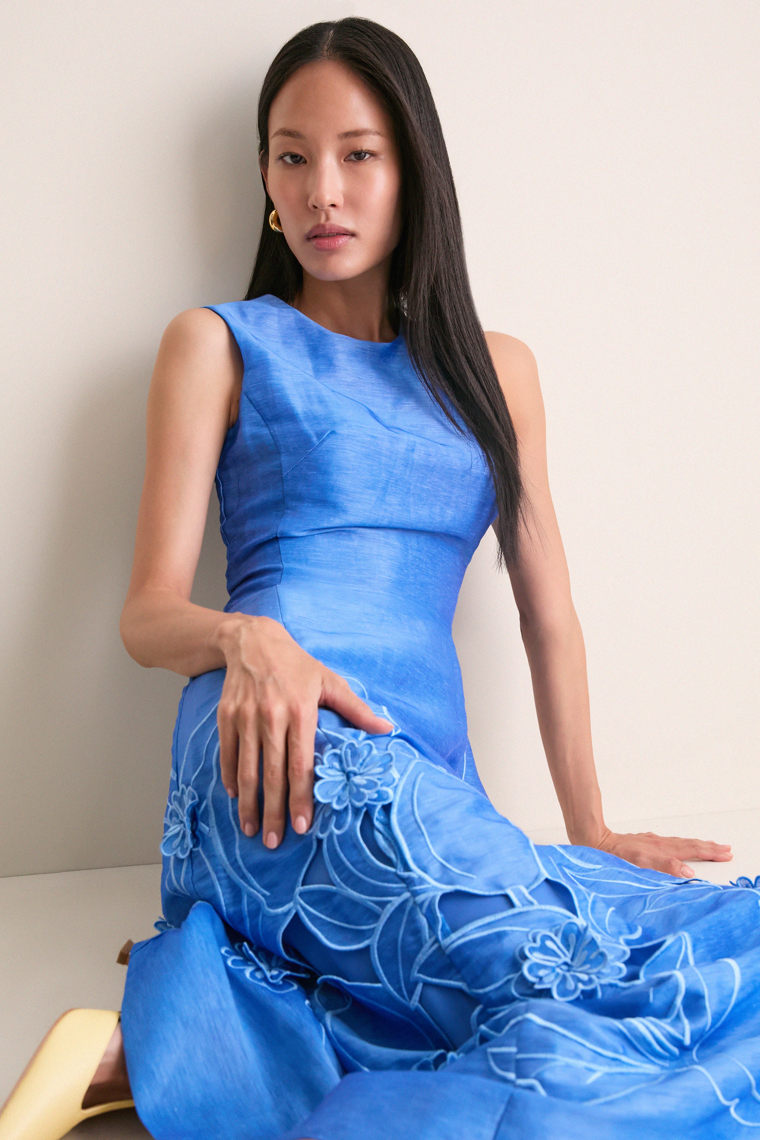 Azure Cleo Applique Midi Dress | Leo Lin