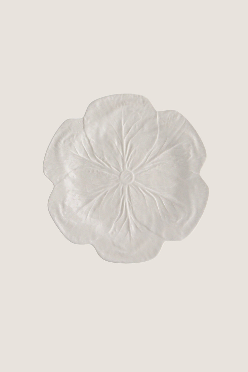 White Cabbage Dinner Plate