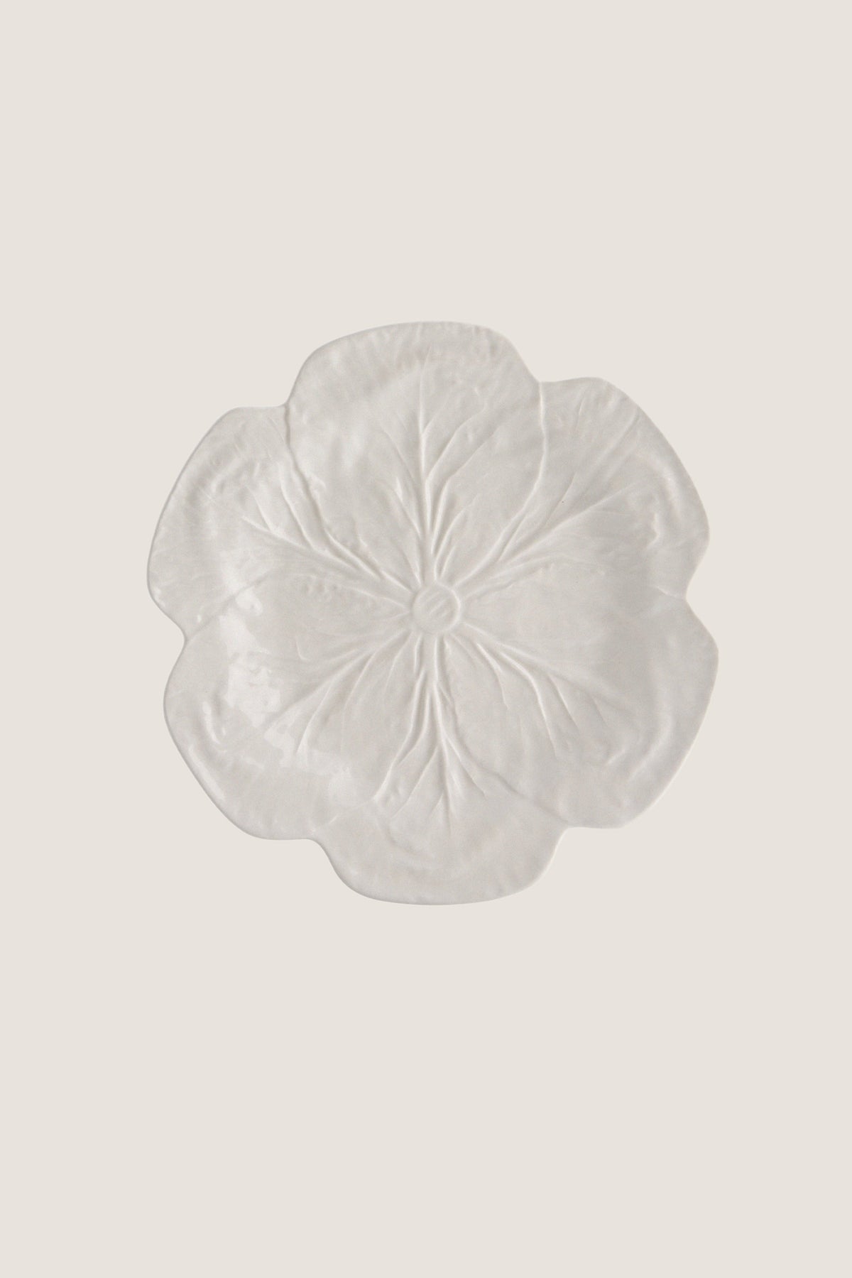 White Cabbage Dinner Plate