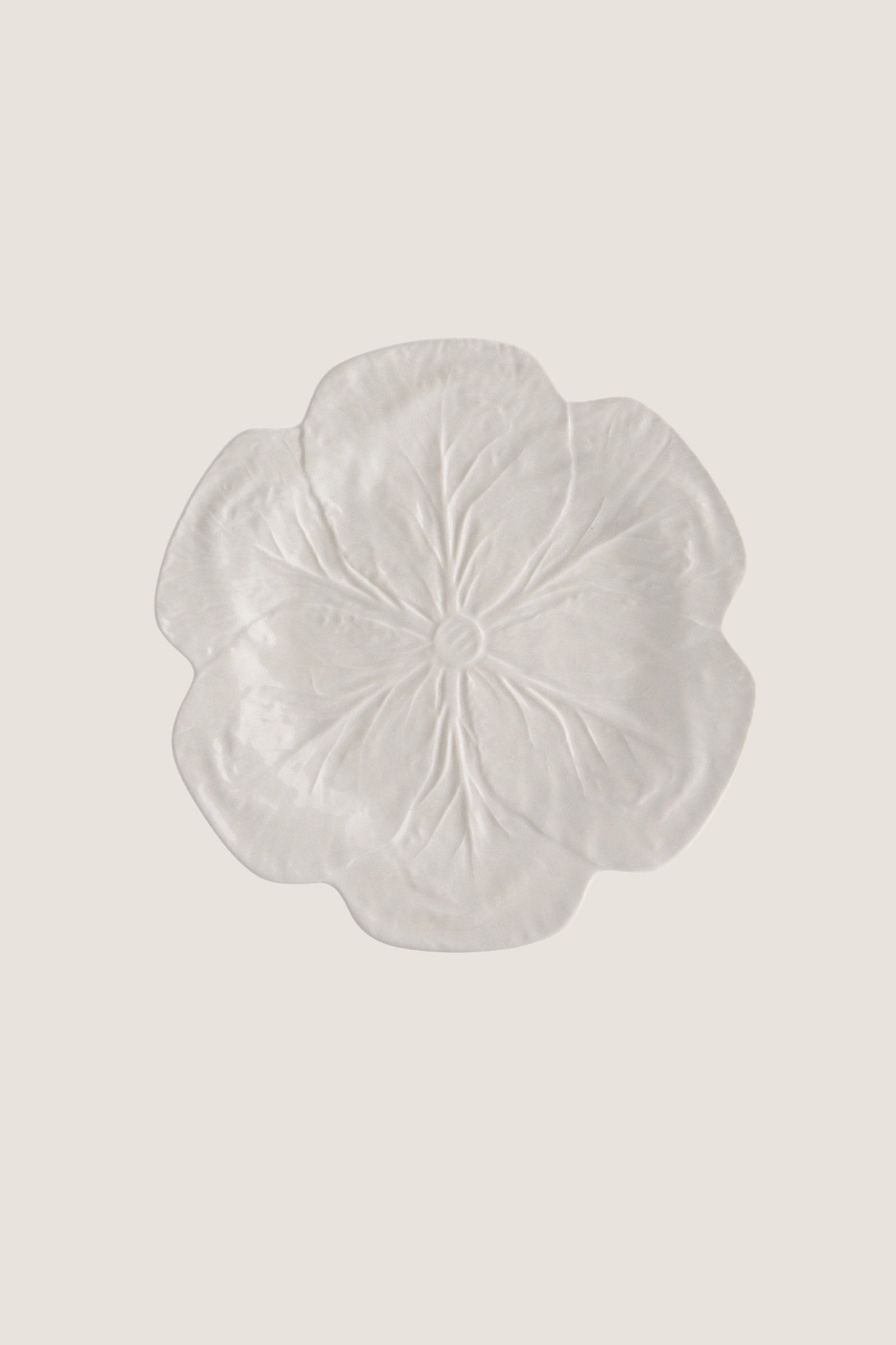 White Cabbage Dinner Plate