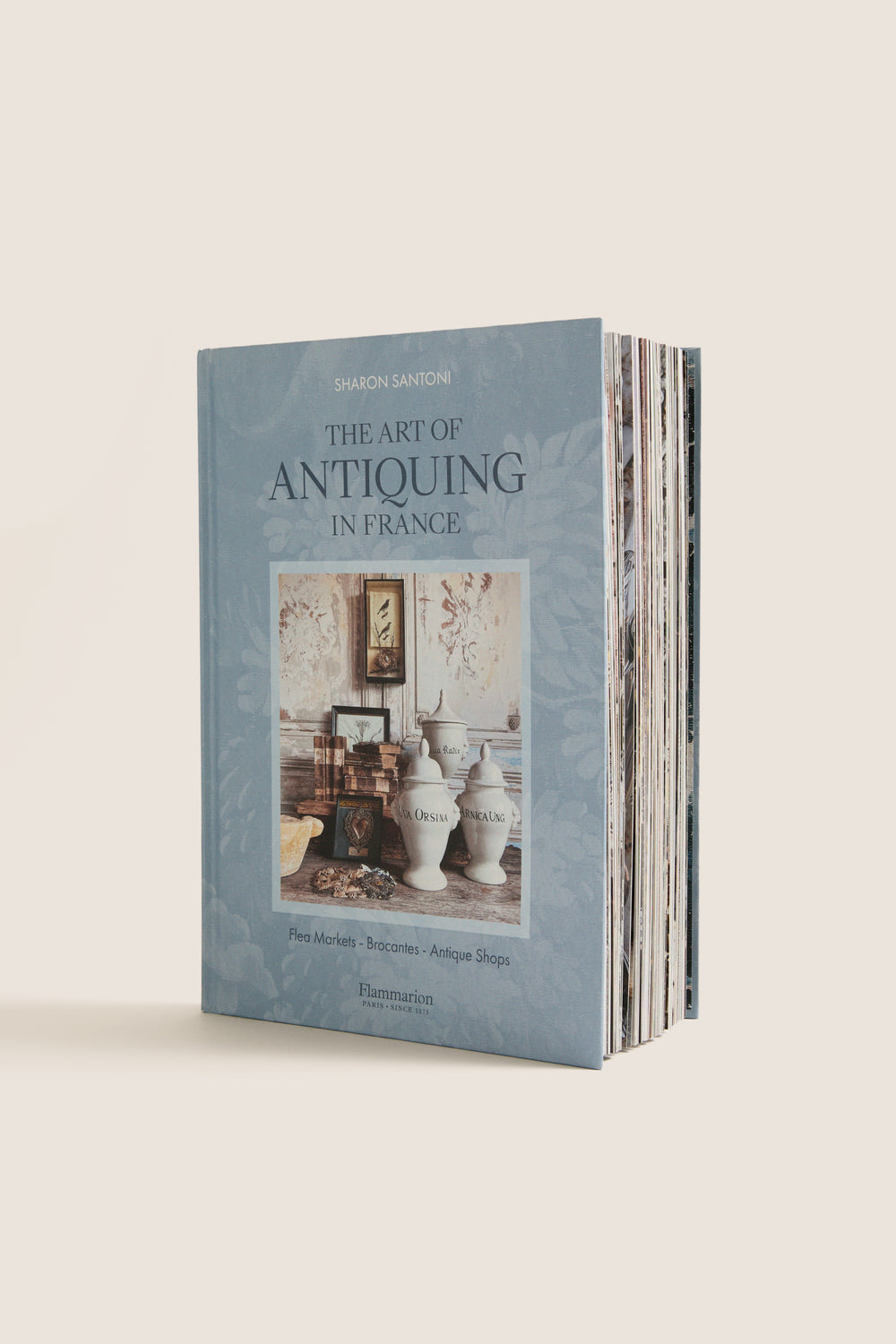 The Art of Antiquing in France