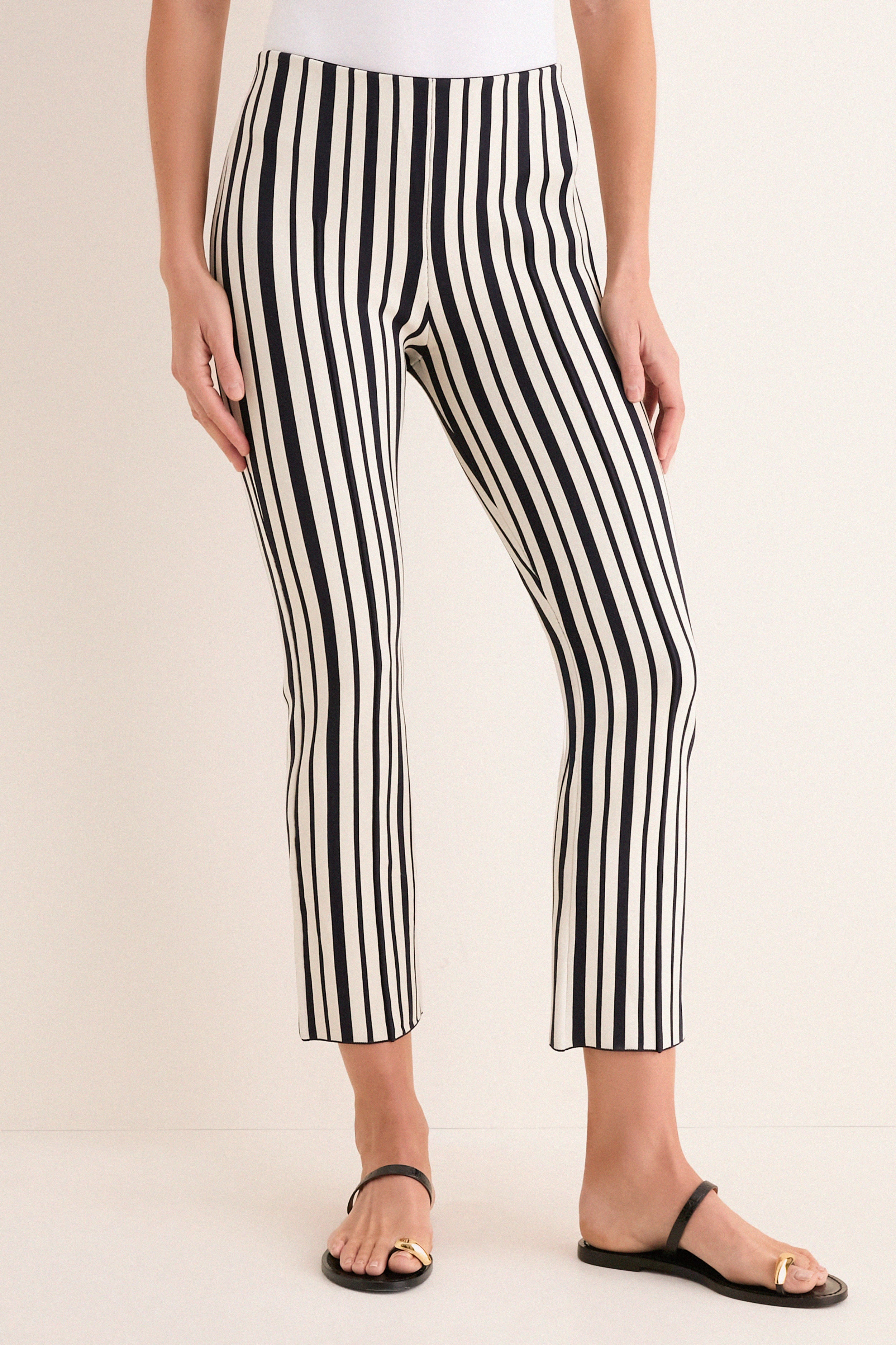 Midnight Stripe Knit Ashford Pants | Tuckernuck