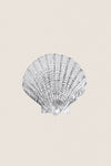 Small Scallop Shell Platter