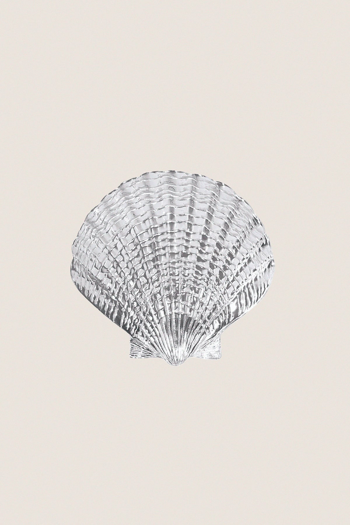 Small Scallop Shell Platter