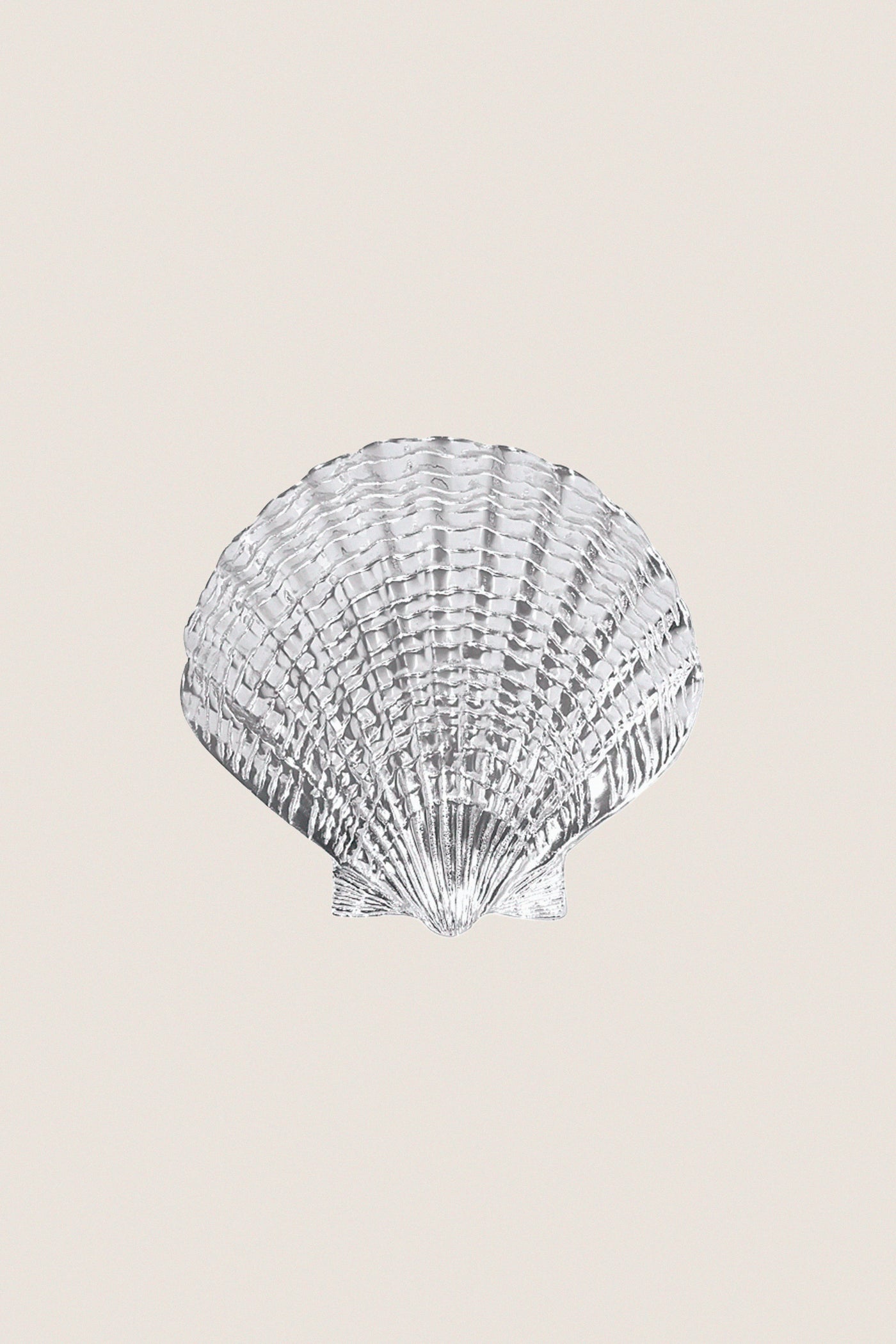 Small Scallop Shell Platter