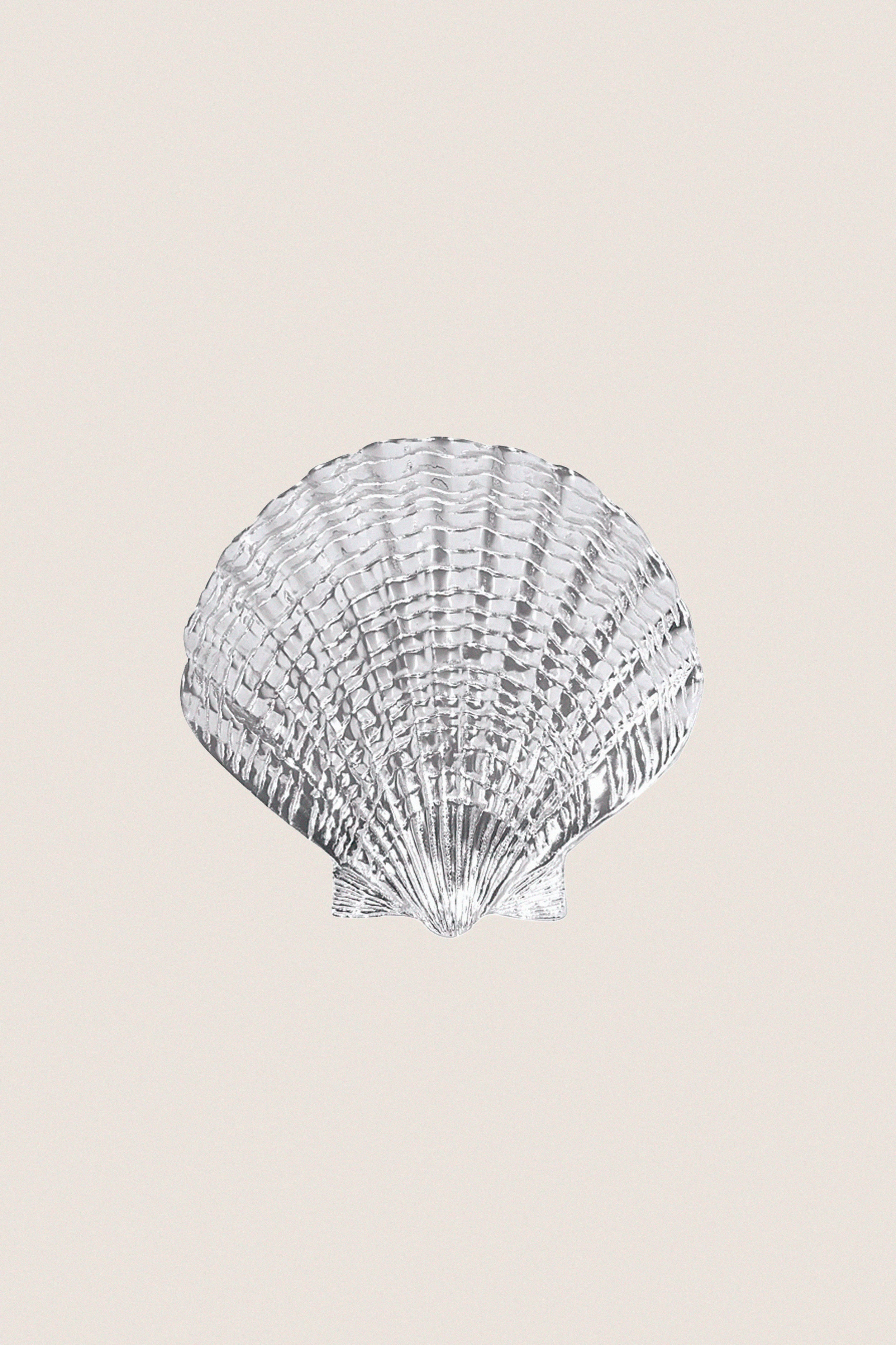 Small Scallop Shell Platter