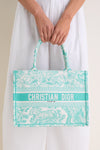 DIOR Aquamarina Canvas Embroidered Medium Dioriviera Toile De Jouy Book Tote