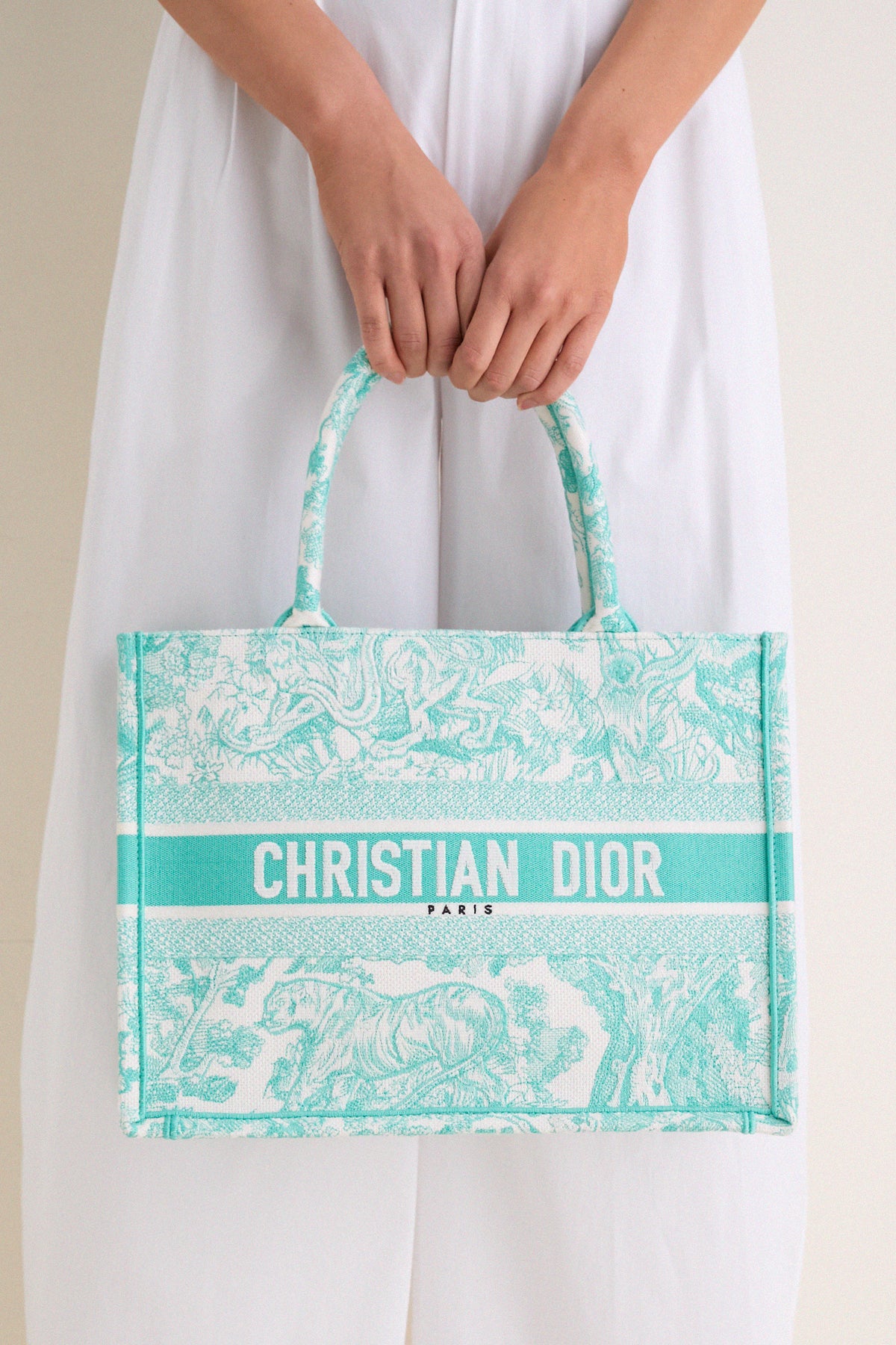 DIOR Aquamarina Canvas Embroidered Medium Dioriviera Toile De Jouy Book Tote