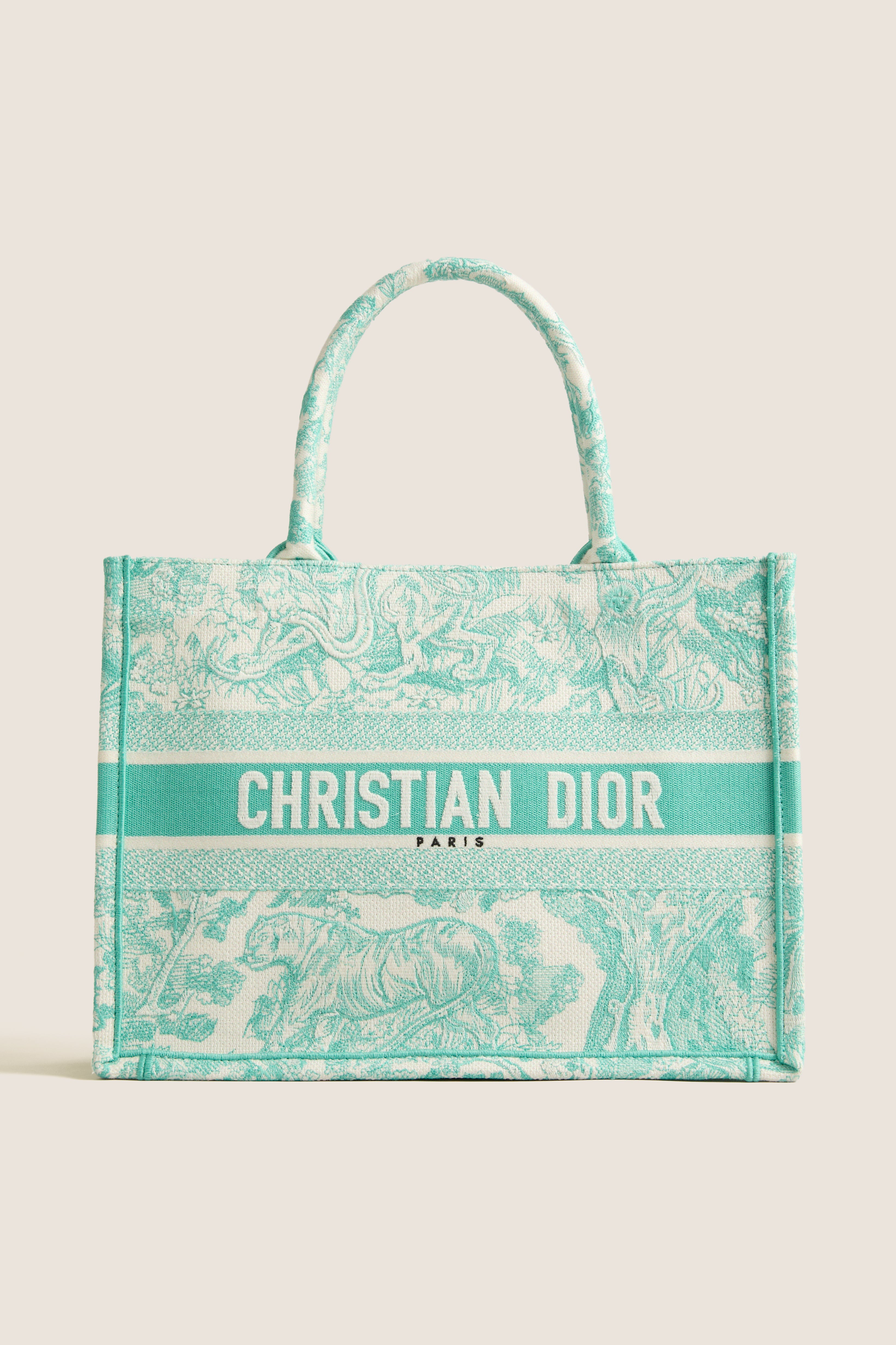 DIOR Aquamarina Canvas Embroidered Medium Dioriviera Toile De Jouy