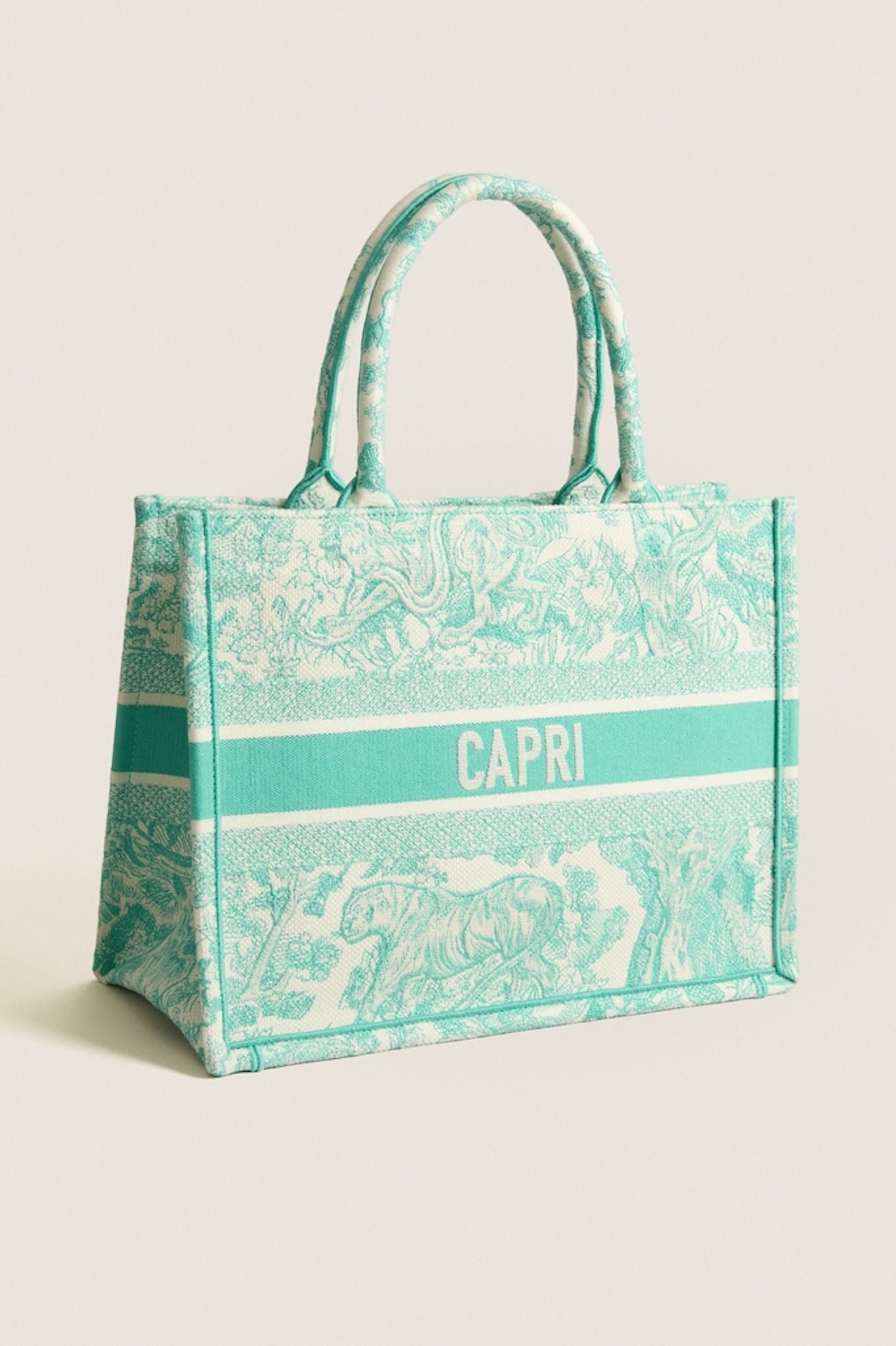 DIOR Aquamarina Canvas Embroidered Medium Dioriviera Toile De Jouy Book Tote