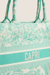 DIOR Aquamarina Canvas Embroidered Medium Dioriviera Toile De Jouy Book Tote