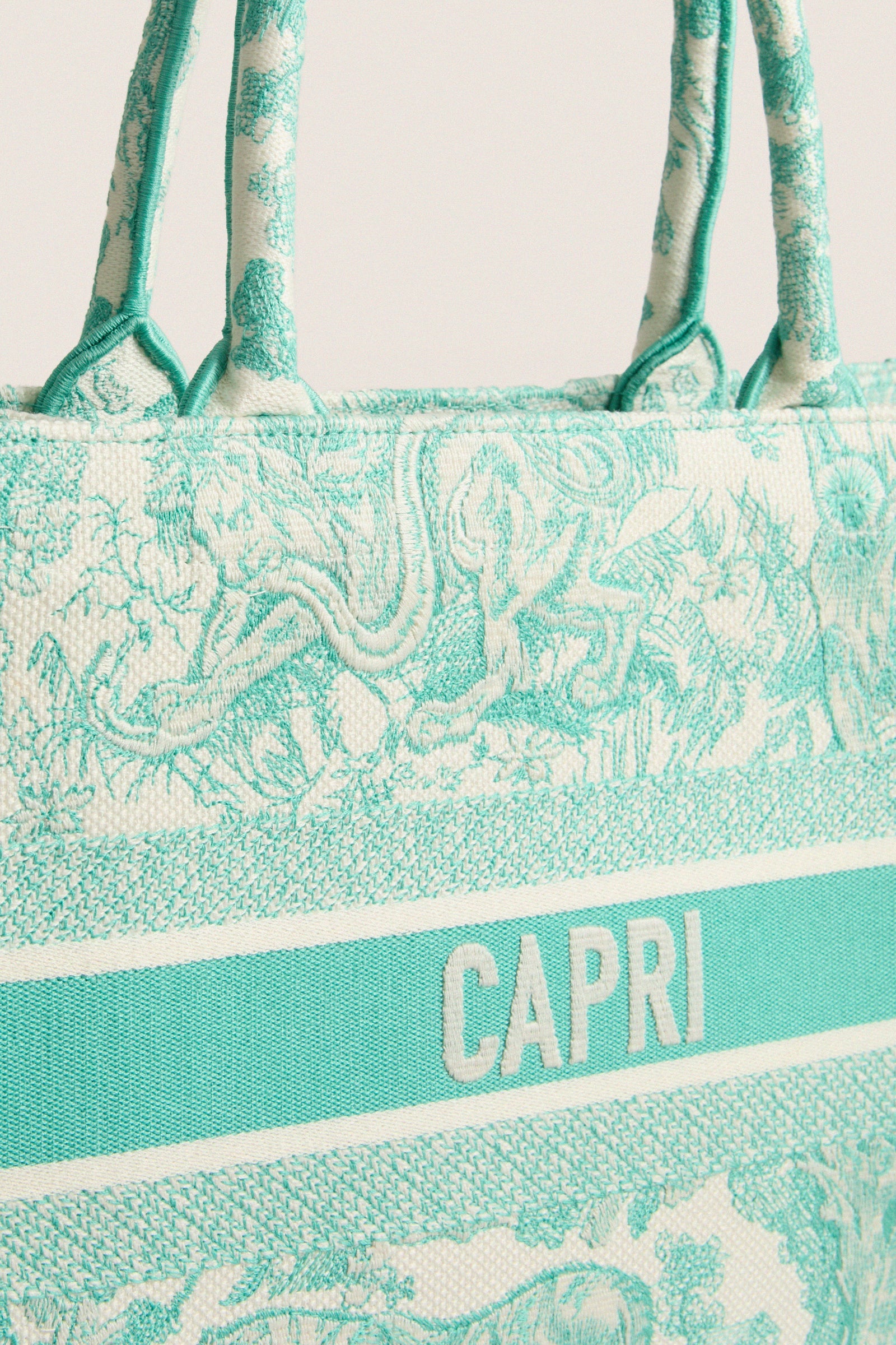 DIOR Aquamarina Canvas Embroidered Medium Dioriviera Toile De Jouy Book Tote