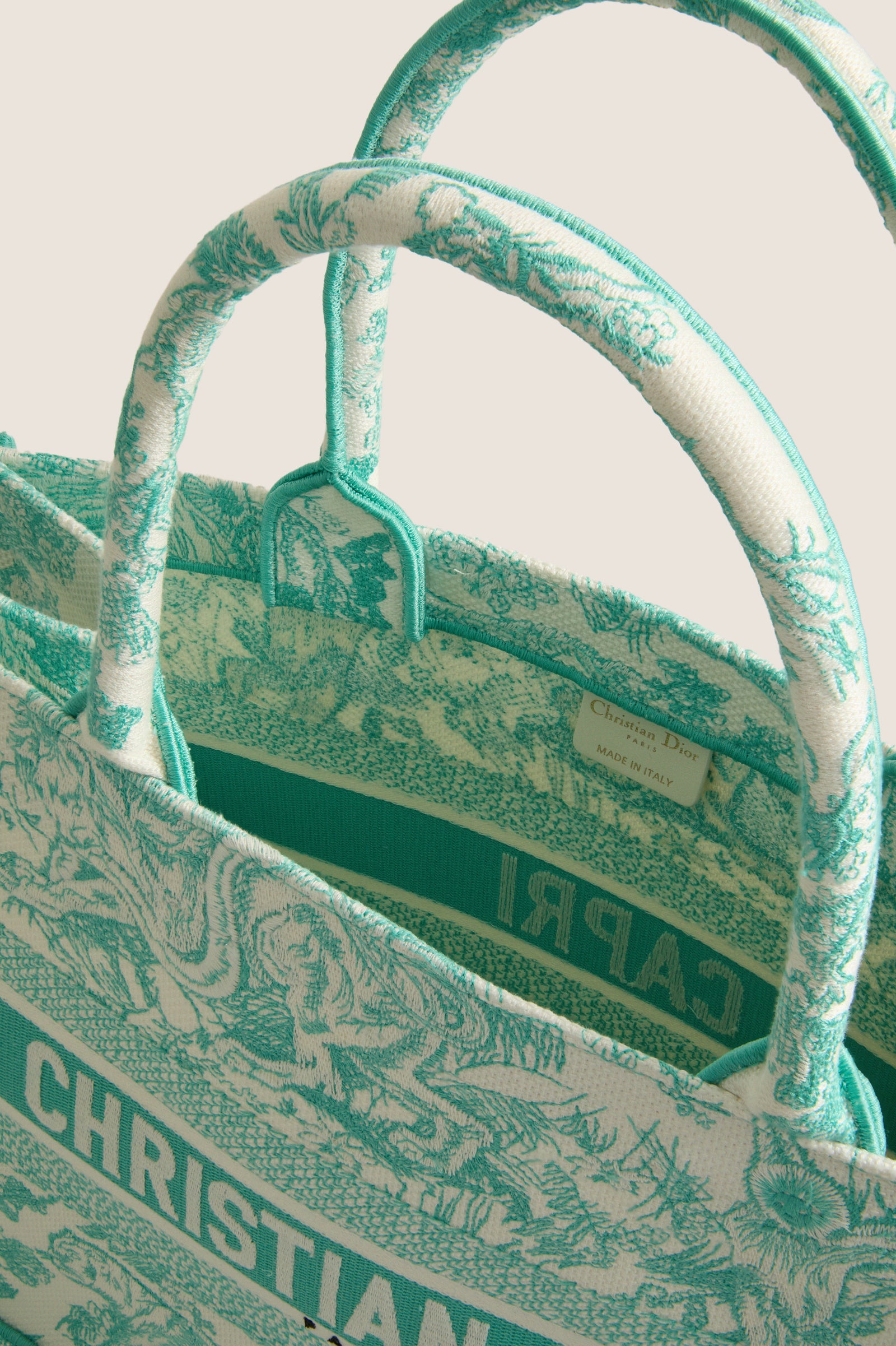 DIOR Aquamarina Canvas Embroidered Medium Dioriviera Toile De Jouy Book Tote