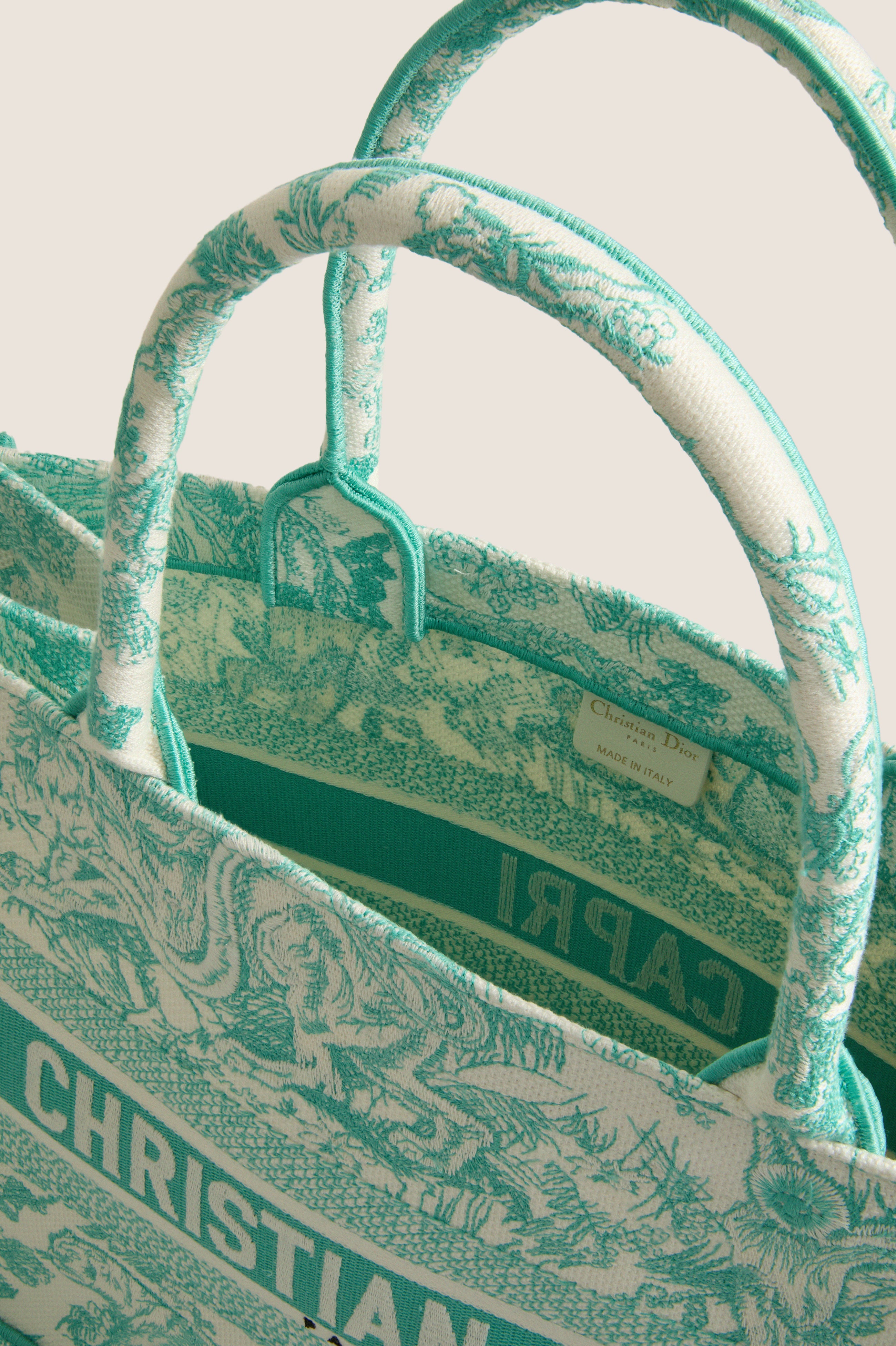 DIOR Aquamarina Canvas Embroidered Medium Dioriviera Toile De Jouy Book Tote