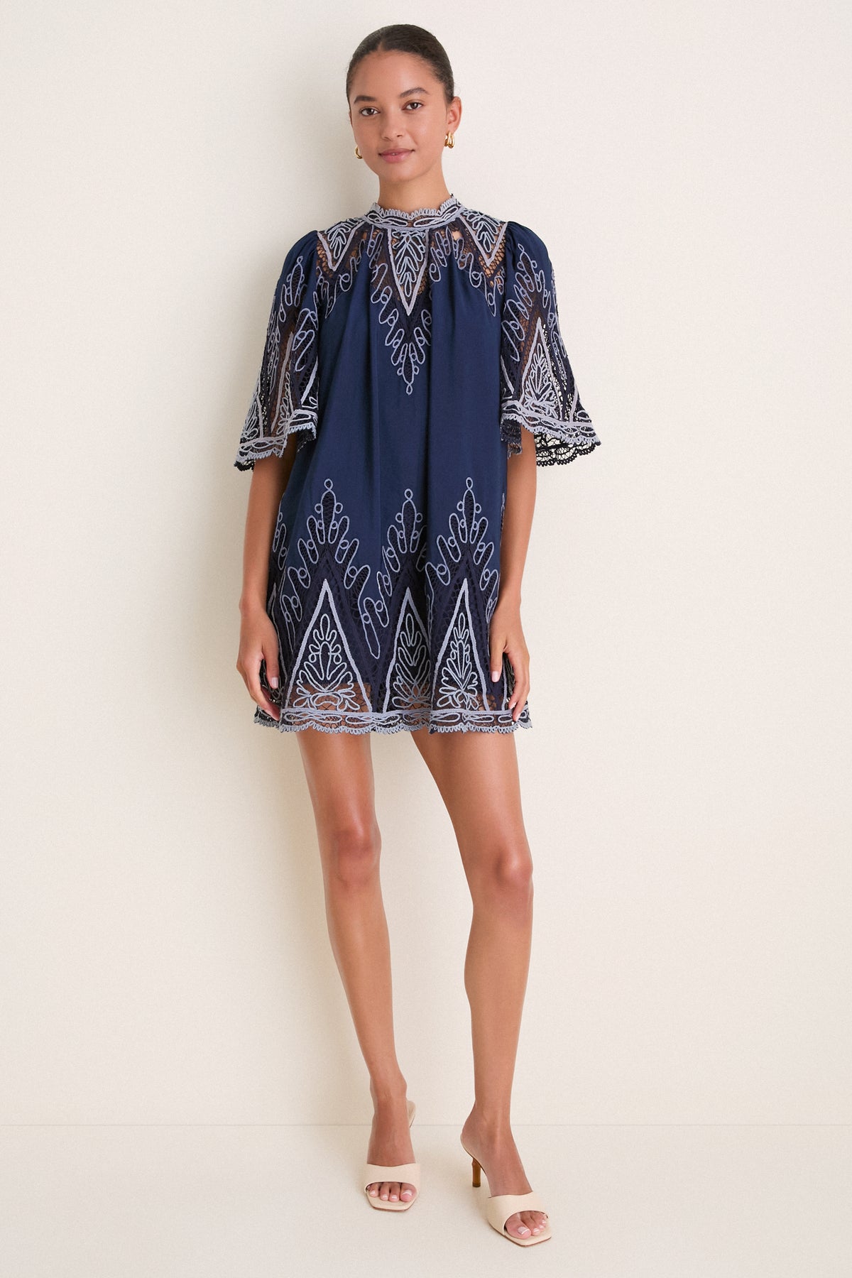 Blue Vali Embroidery Mini Dress