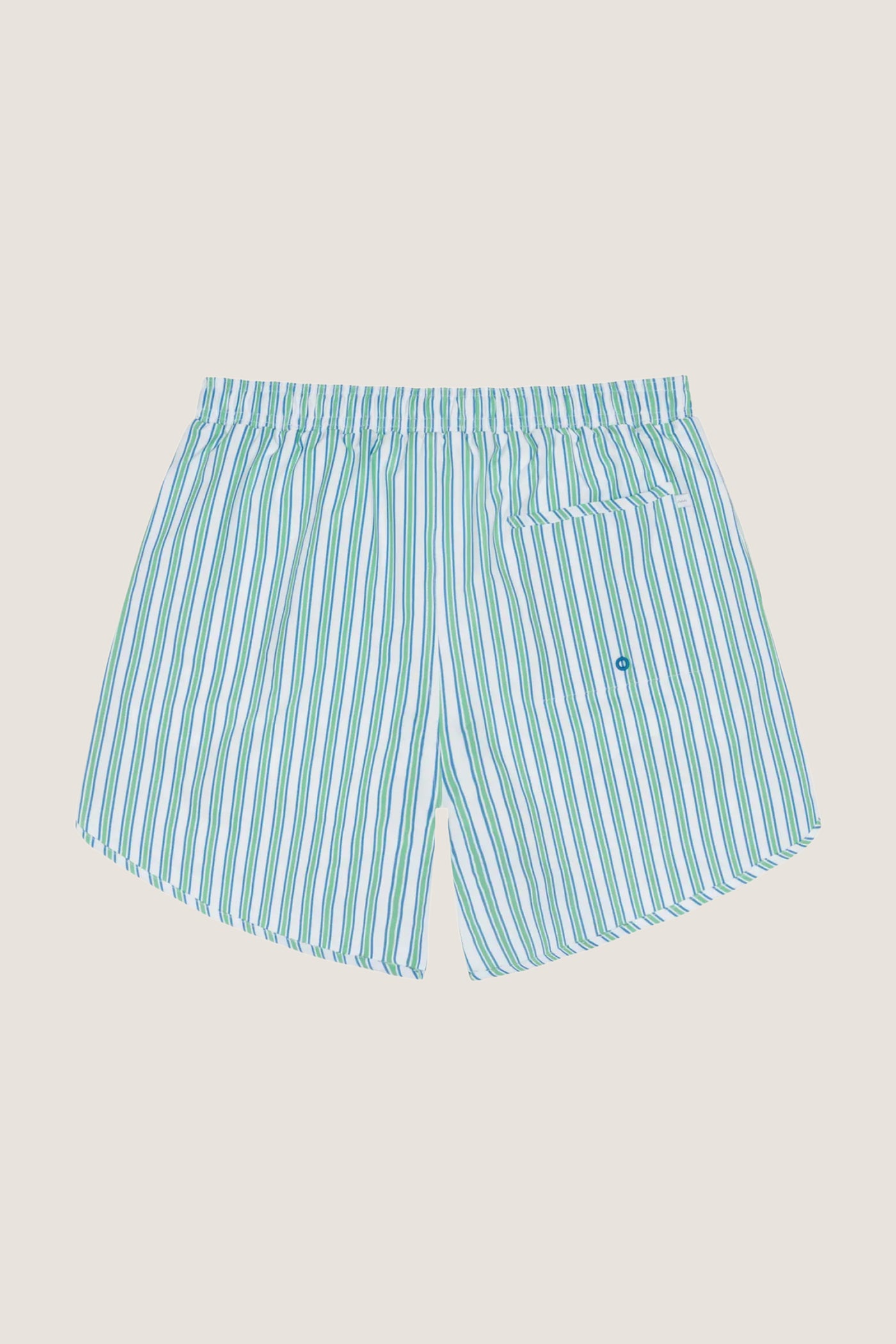Men's Tamarin Stripe Boardie
