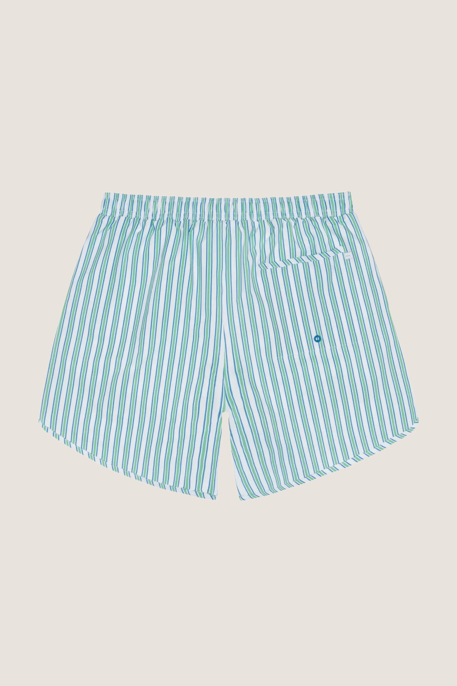 Men's Tamarin Stripe Boardie