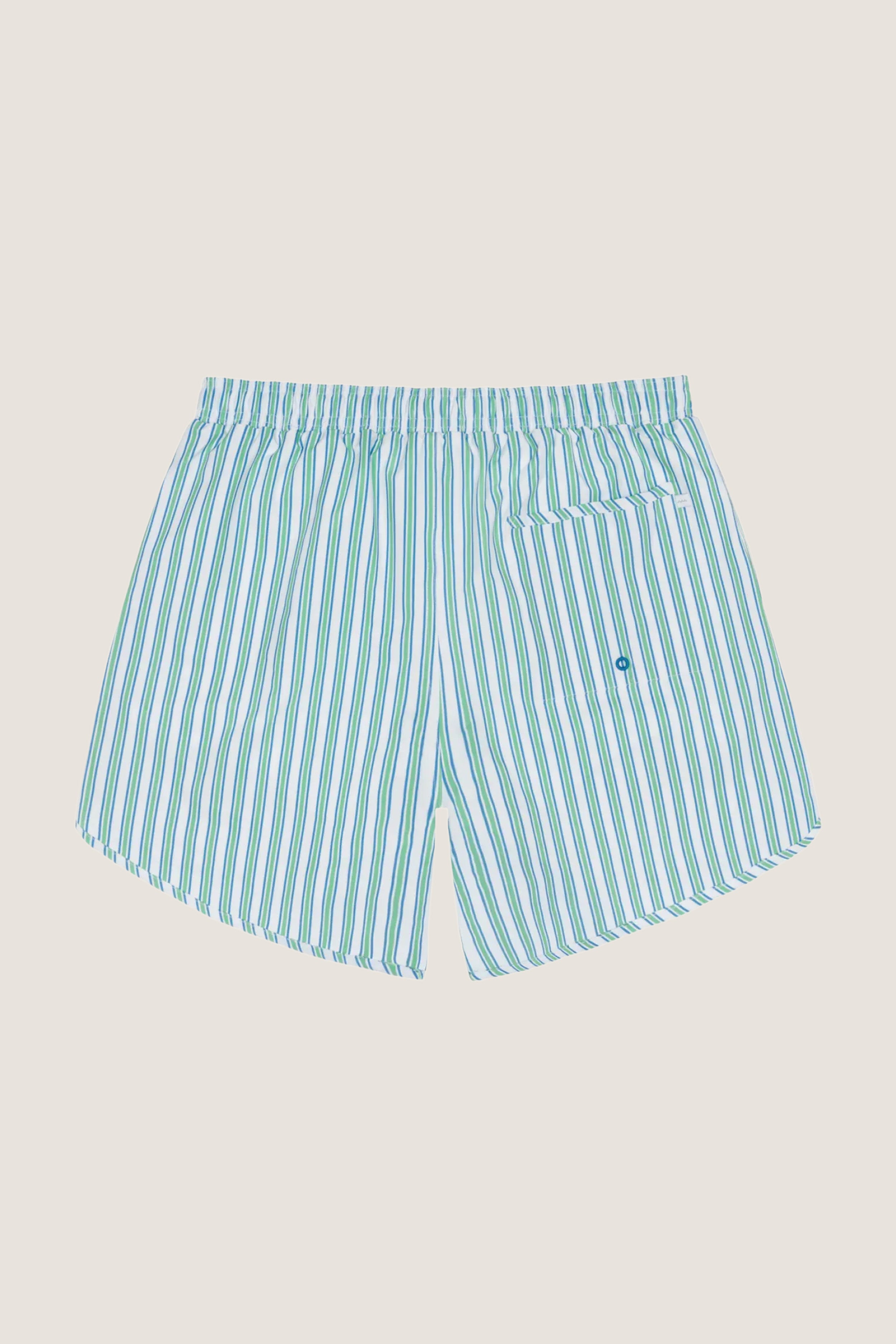 Men's Tamarin Stripe Boardie